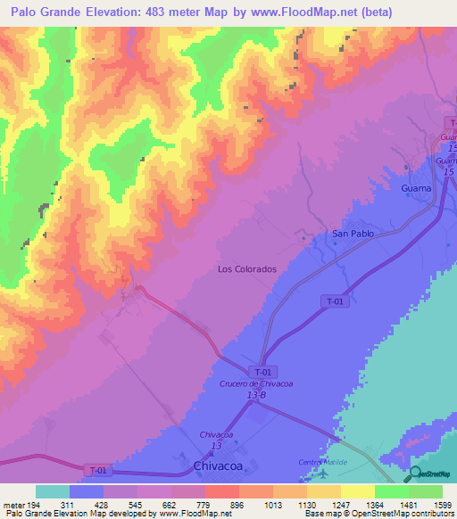 Palo Grande,Venezuela Elevation Map