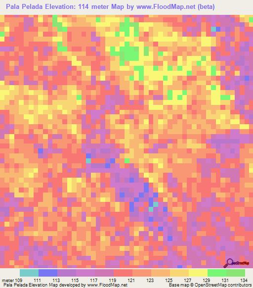 Pala Pelada,Venezuela Elevation Map