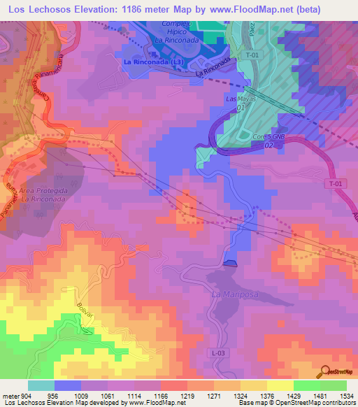 Los Lechosos,Venezuela Elevation Map