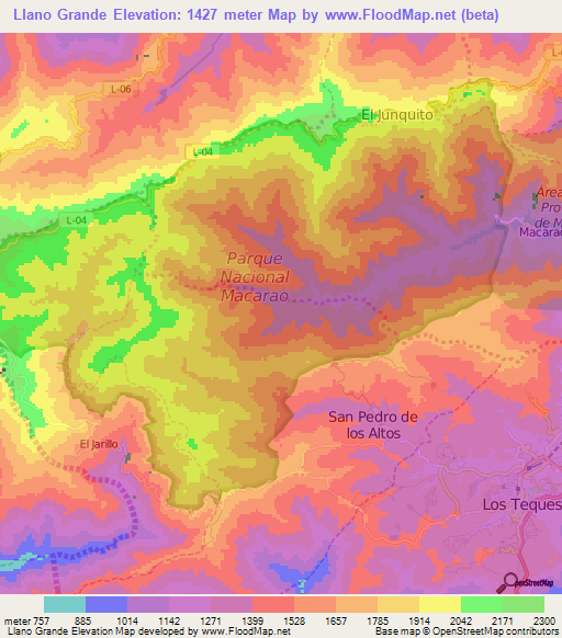 Llano Grande,Venezuela Elevation Map