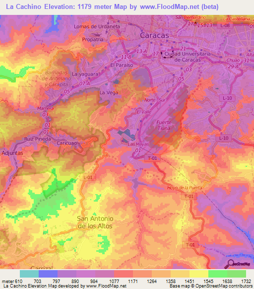 La Cachino,Venezuela Elevation Map