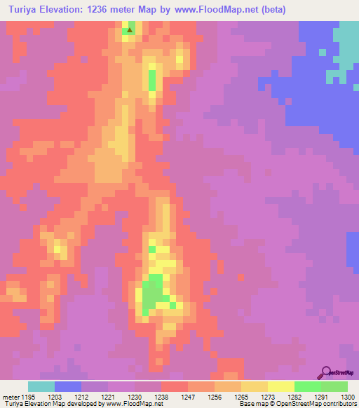 Turiya,Sudan Elevation Map