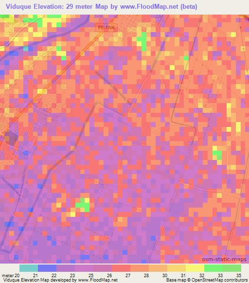 Viduque,Peru Elevation Map