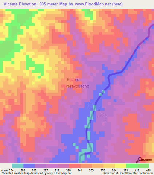 Vicente,Peru Elevation Map