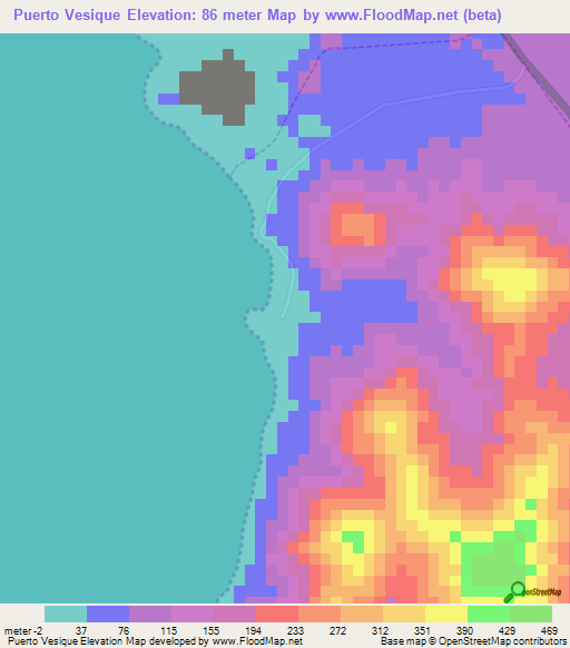 Puerto Vesique,Peru Elevation Map