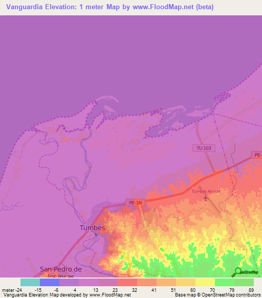 Vanguardia,Peru Elevation Map