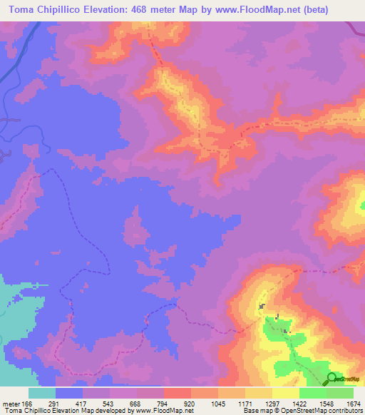 Toma Chipillico,Peru Elevation Map