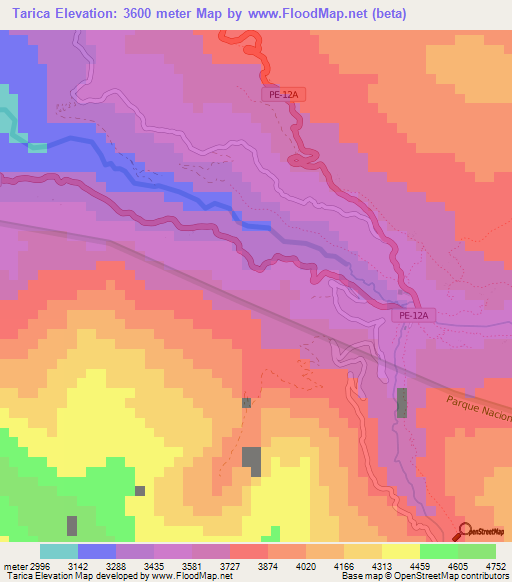 Tarica,Peru Elevation Map