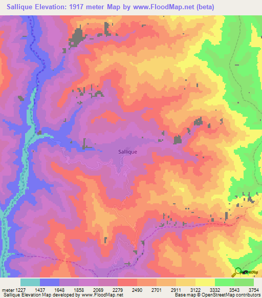 Sallique,Peru Elevation Map