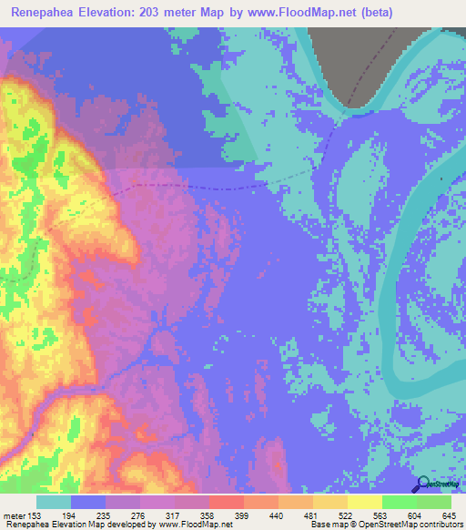 Renepahea,Peru Elevation Map