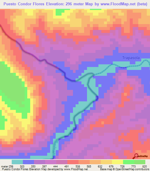 Puesto Condor Flores,Peru Elevation Map