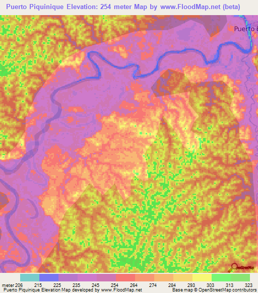 Puerto Piquinique,Peru Elevation Map