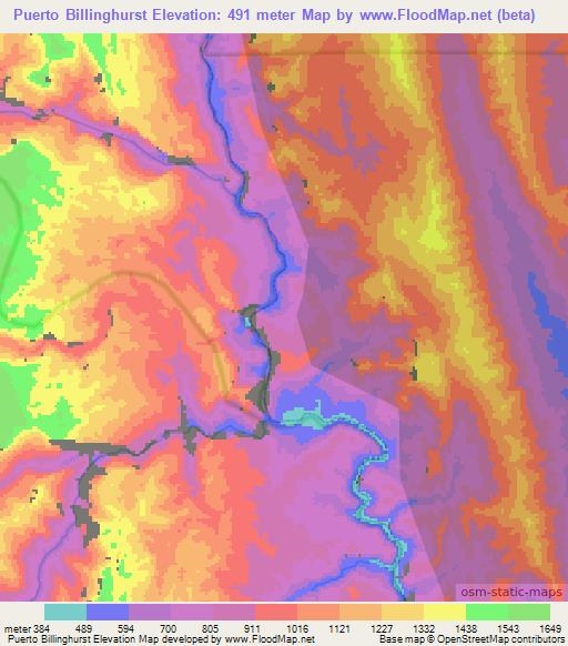 Puerto Billinghurst,Peru Elevation Map