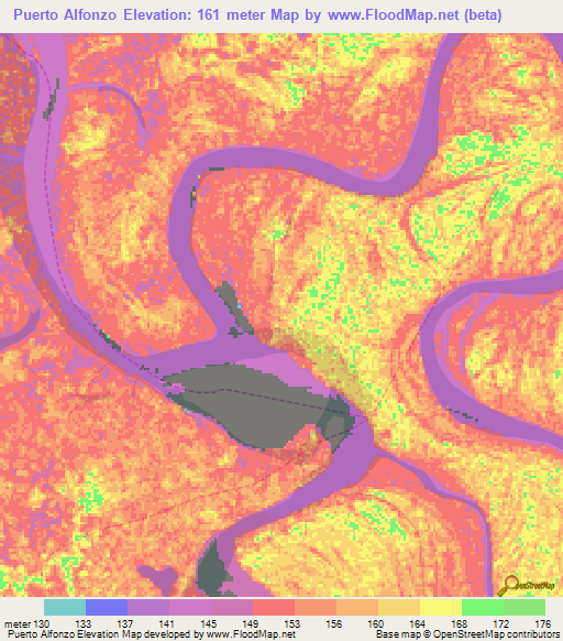 Puerto Alfonzo,Peru Elevation Map