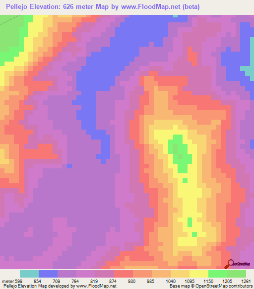 Pellejo,Peru Elevation Map