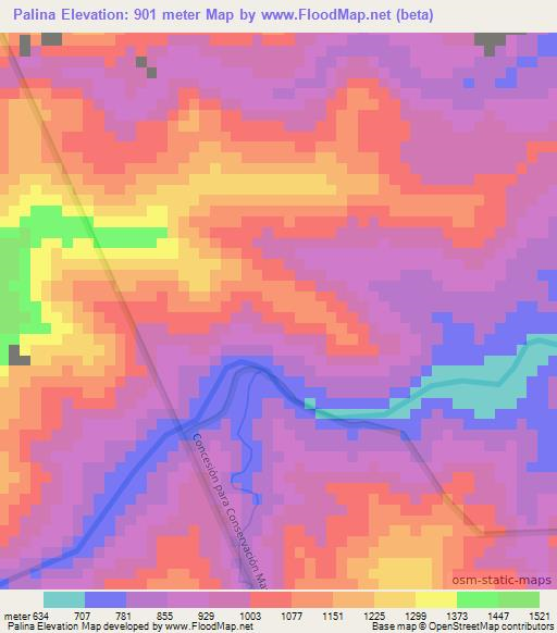 Palina,Peru Elevation Map