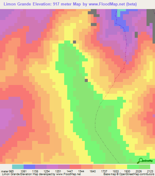Limon Grande,Peru Elevation Map