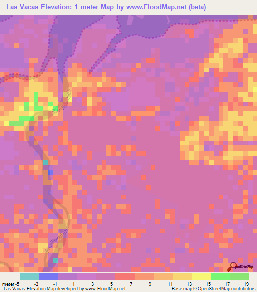 Las Vacas,Peru Elevation Map