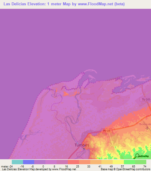 Las Delicias,Peru Elevation Map