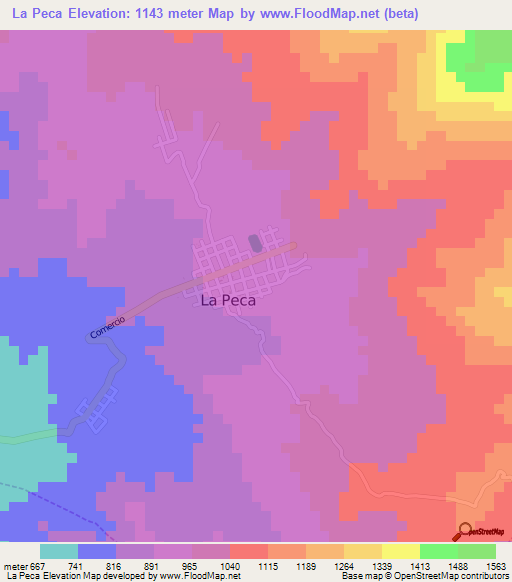 La Peca,Peru Elevation Map