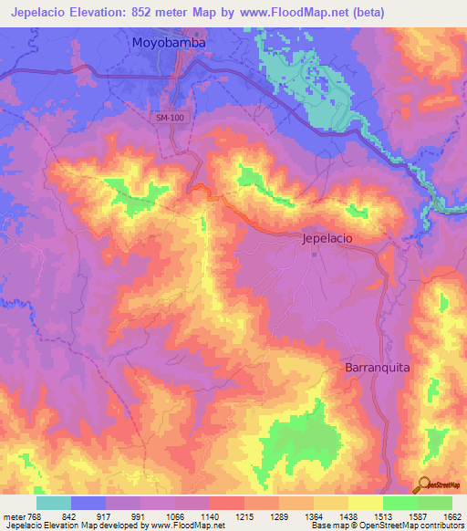 Jepelacio,Peru Elevation Map