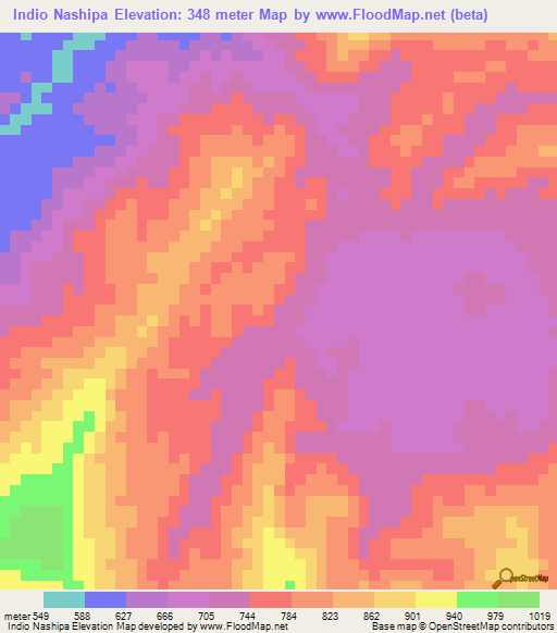 Indio Nashipa,Peru Elevation Map