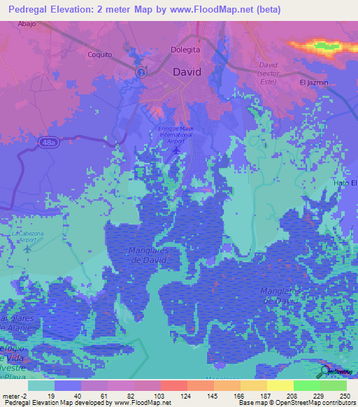 Pedregal,Panama Elevation Map
