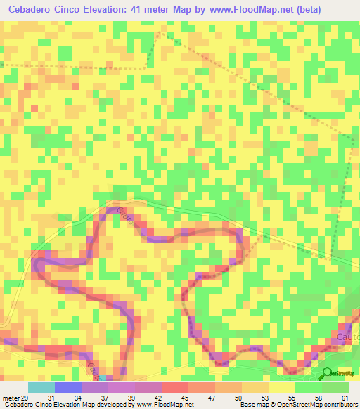 Cebadero Cinco,Cuba Elevation Map