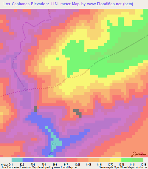 Los Capitanes,Venezuela Elevation Map