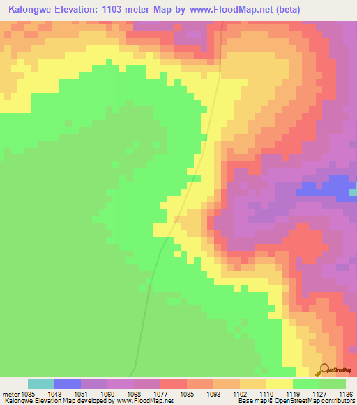 Kalongwe,Congo (Kinshasa) Elevation Map