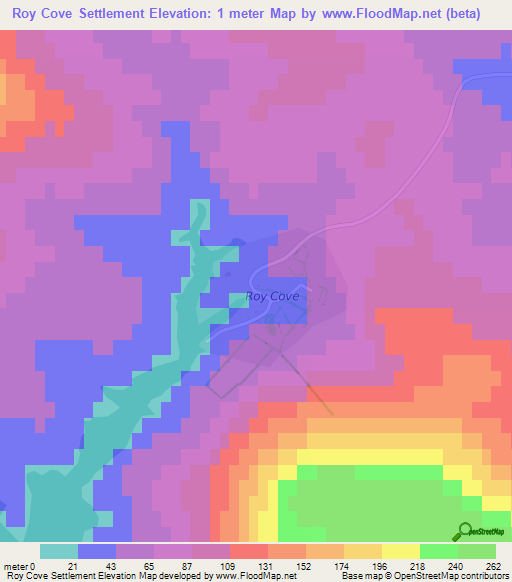Roy Cove Settlement,Falkland Islands Elevation Map