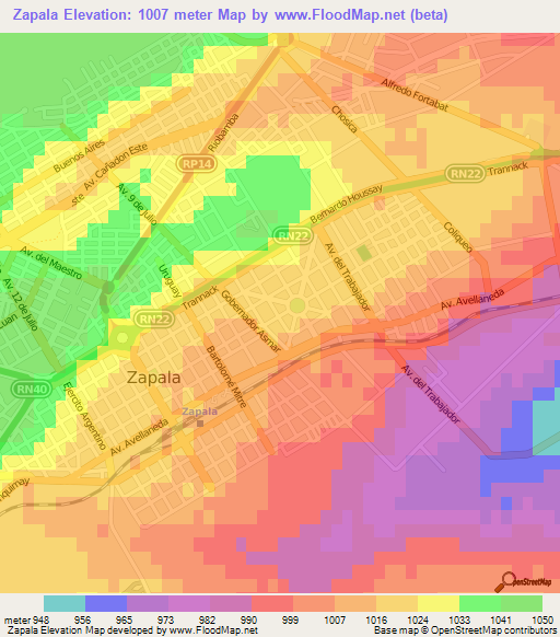 Zapala,Argentina Elevation Map