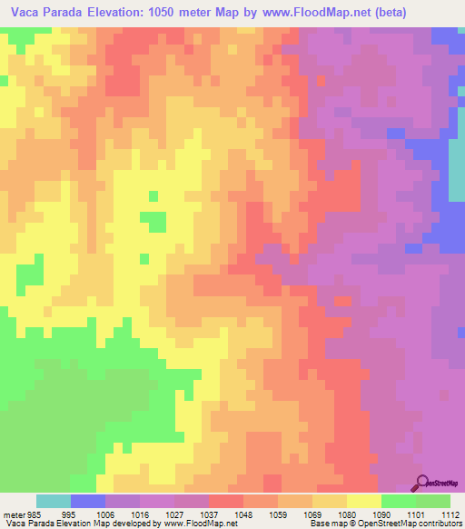Vaca Parada,Argentina Elevation Map