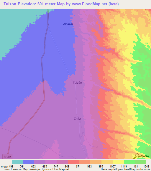 Tuizon,Argentina Elevation Map