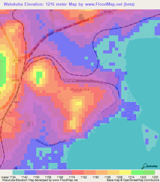 Walukuba,Uganda Elevation Map