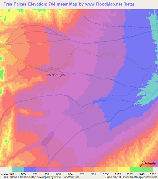 Tres Palcas,Argentina Elevation Map
