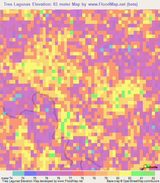 Tres Lagunas,Argentina Elevation Map