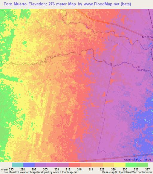 Toro Muerto,Argentina Elevation Map