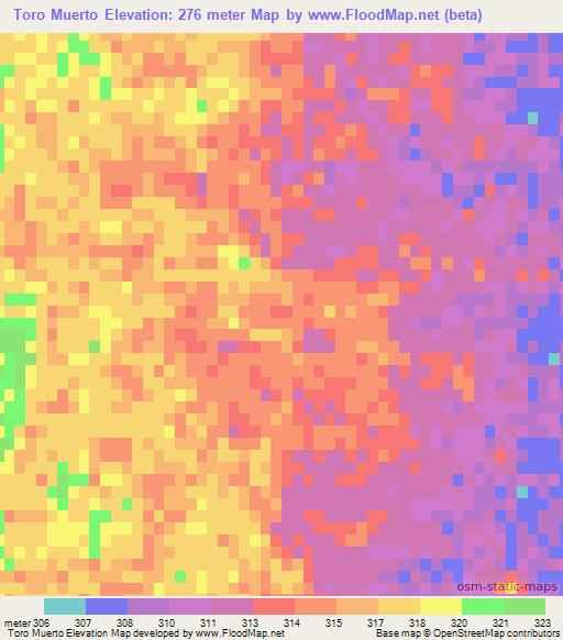 Toro Muerto,Argentina Elevation Map
