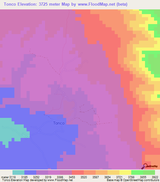 Tonco,Argentina Elevation Map