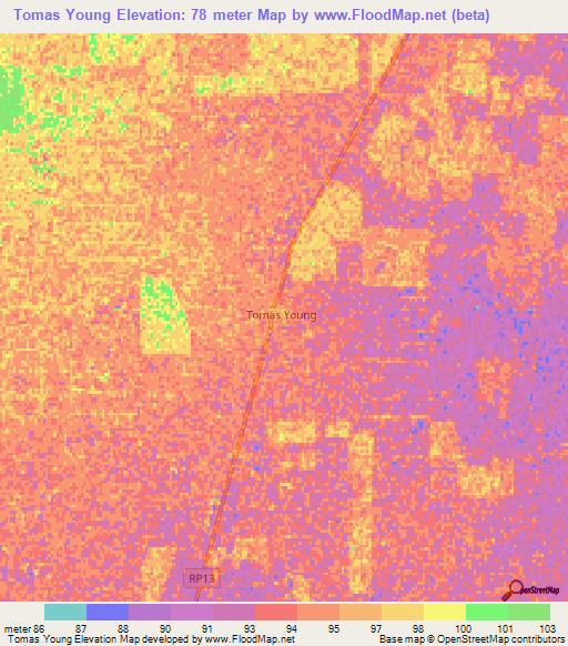 Tomas Young,Argentina Elevation Map