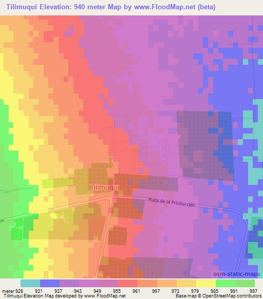 Tilimuqui,Argentina Elevation Map