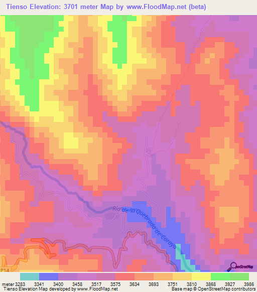 Tienso,Argentina Elevation Map