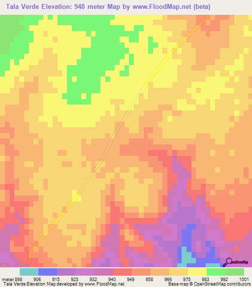 Tala Verde,Argentina Elevation Map