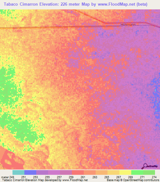 Tabaco Cimarron,Argentina Elevation Map