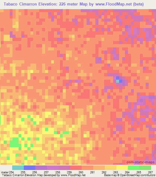 Tabaco Cimarron,Argentina Elevation Map