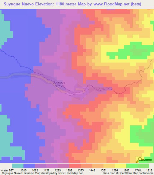 Suyuque Nuevo,Argentina Elevation Map