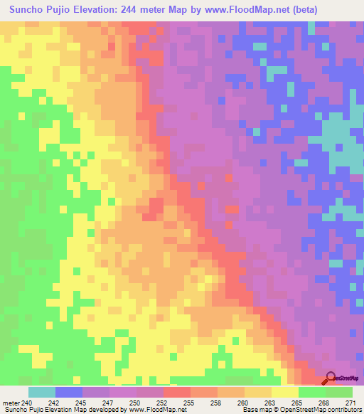 Suncho Pujio,Argentina Elevation Map