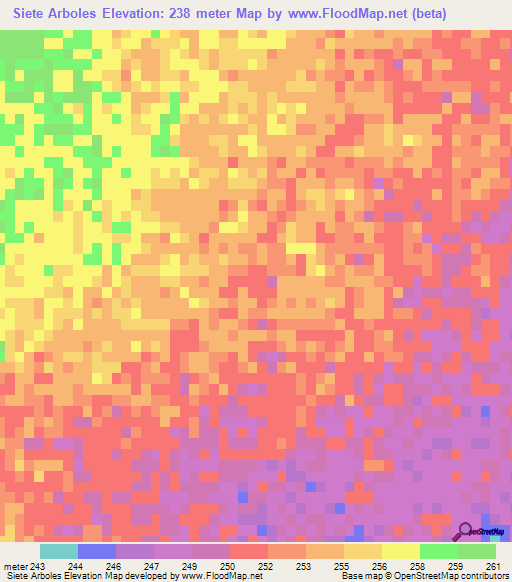 Siete Arboles,Argentina Elevation Map