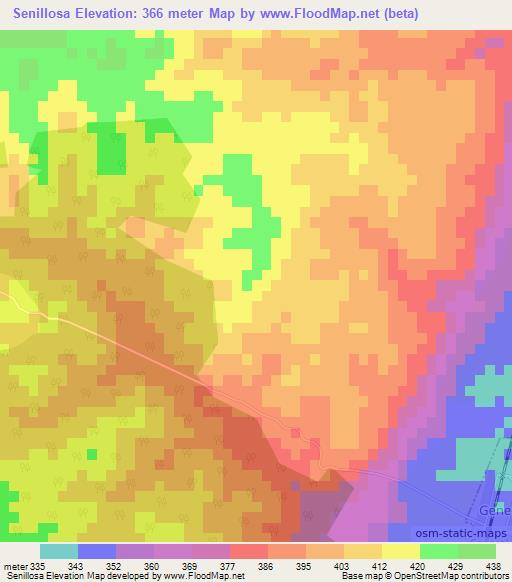 Senillosa,Argentina Elevation Map